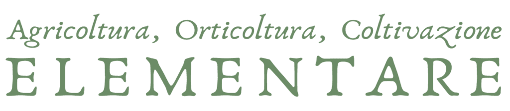 CE-LogoType Verde scuro