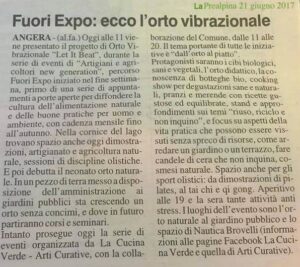 2015-06-Fuori-Expo-ecco-lorto-vibrazionale-La-Prealpina-21-giugno-2015