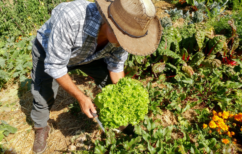 63 Gian Carlo Cappello