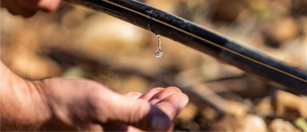 ortodacoltivare-acqua