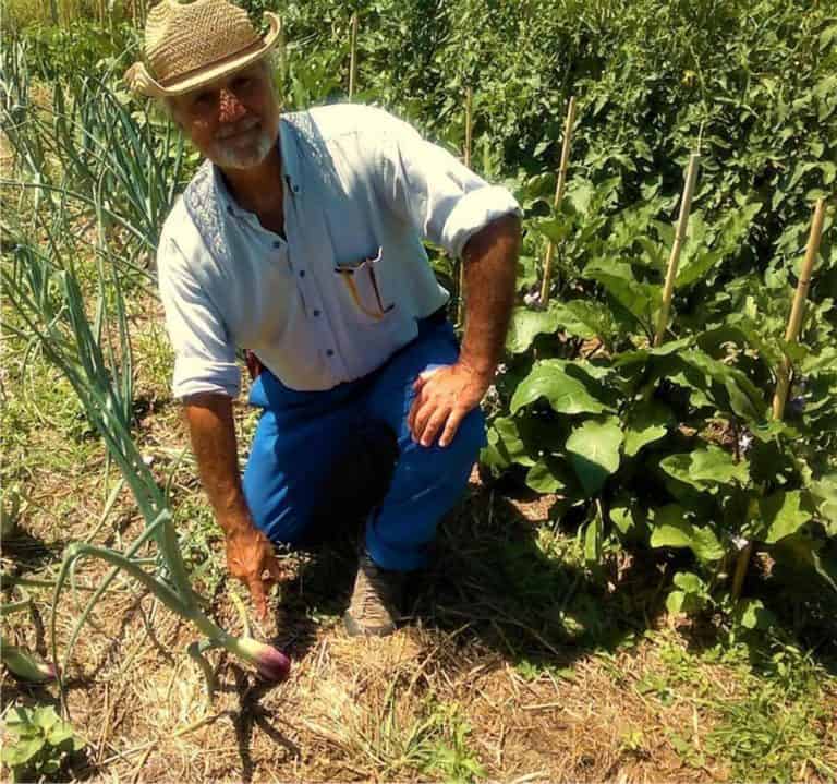 ortodacoltivare-cappello-concimazione