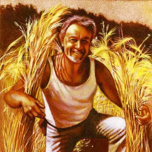 ortodacoltivare-gianCarloCappello-Ritratto-nel-farro