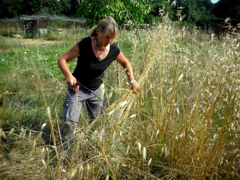 10-Glossario-Gian-Carlo-Cappello