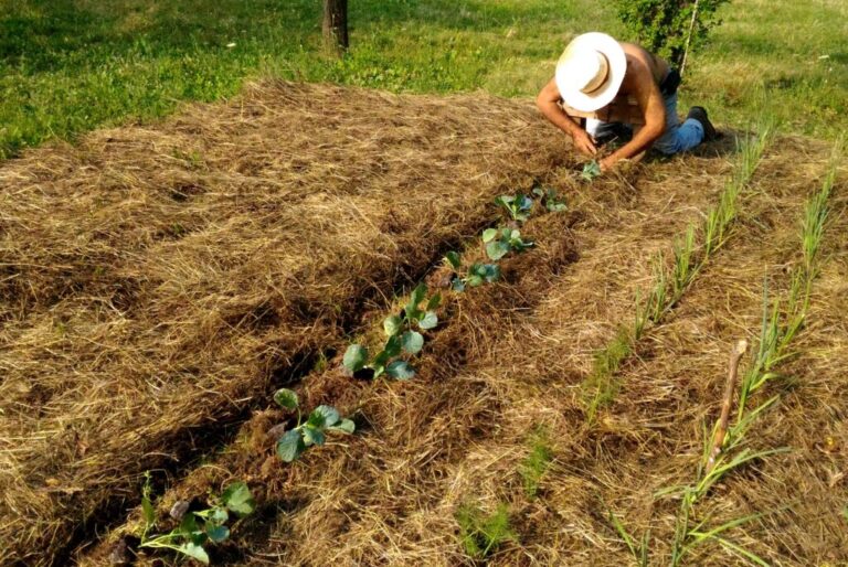 12-Glossario-Gian-Carlo-Cappello-filare