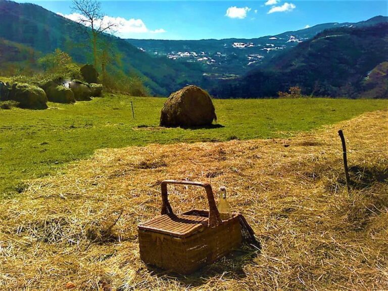 14-Glossario-Gian-Carlo-Cappello-pacciamatura