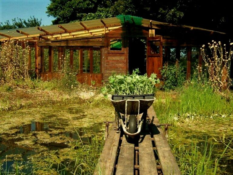 17-Glossario-Gian-Carlo-Cappello-Serra-semenzaio