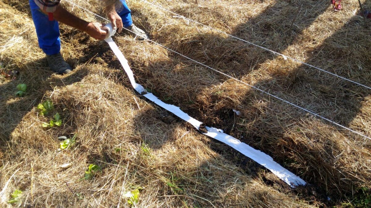 2-glossario-Gian-Carlo-Cappello-confettatura