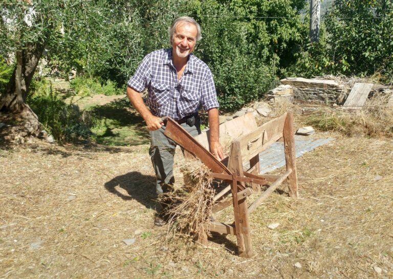 21-Glossario-Gian-Carlo-Cappello-Trinciaforaggio-2048x1455