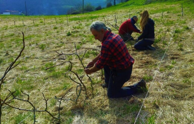 22-Glossario-Gian-Carlo-Cappello-tutoraggi-1024x657