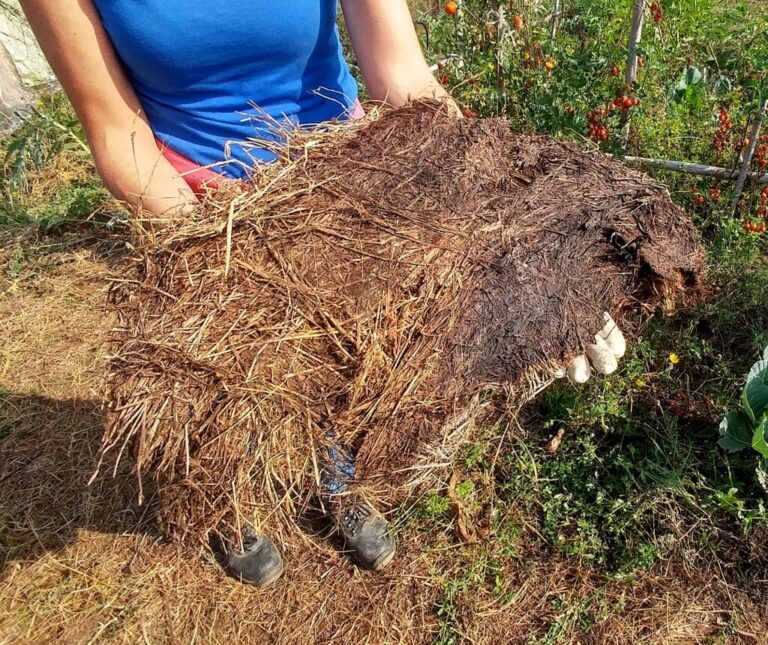 25-Glossario-Gian-Carlo-Cappello-Welcome