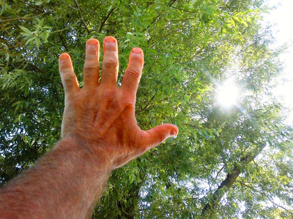 3-Glossario-Gian-Carlo-Cappello-estemporaneita