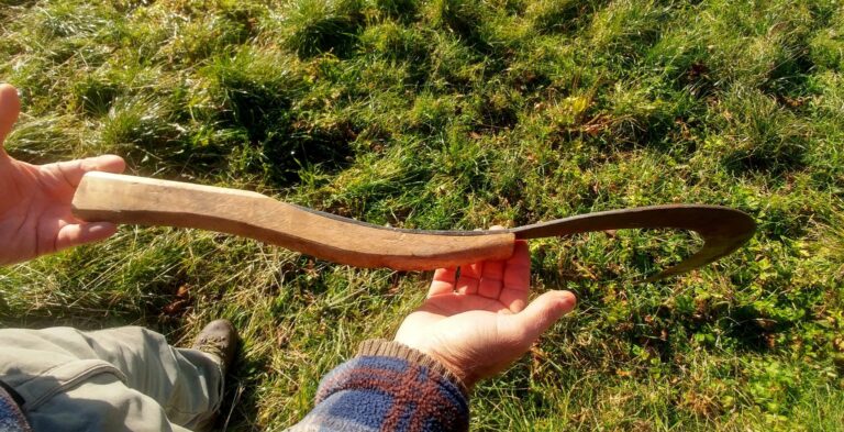 7-Glossario-Gian-Carlo-Cappello-