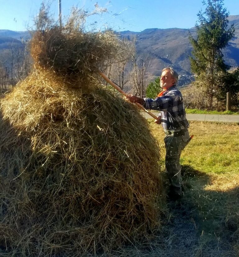 8-Glossario-Gian-Carlo-Cappello-fienaio