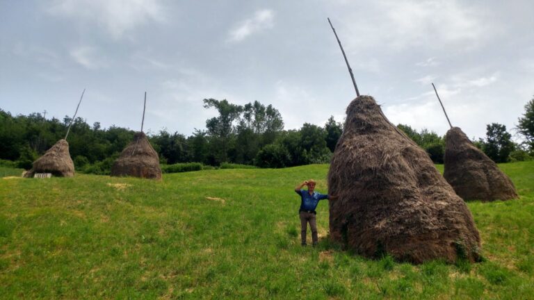 9-Glossario-Gian-Carlo-Cappello