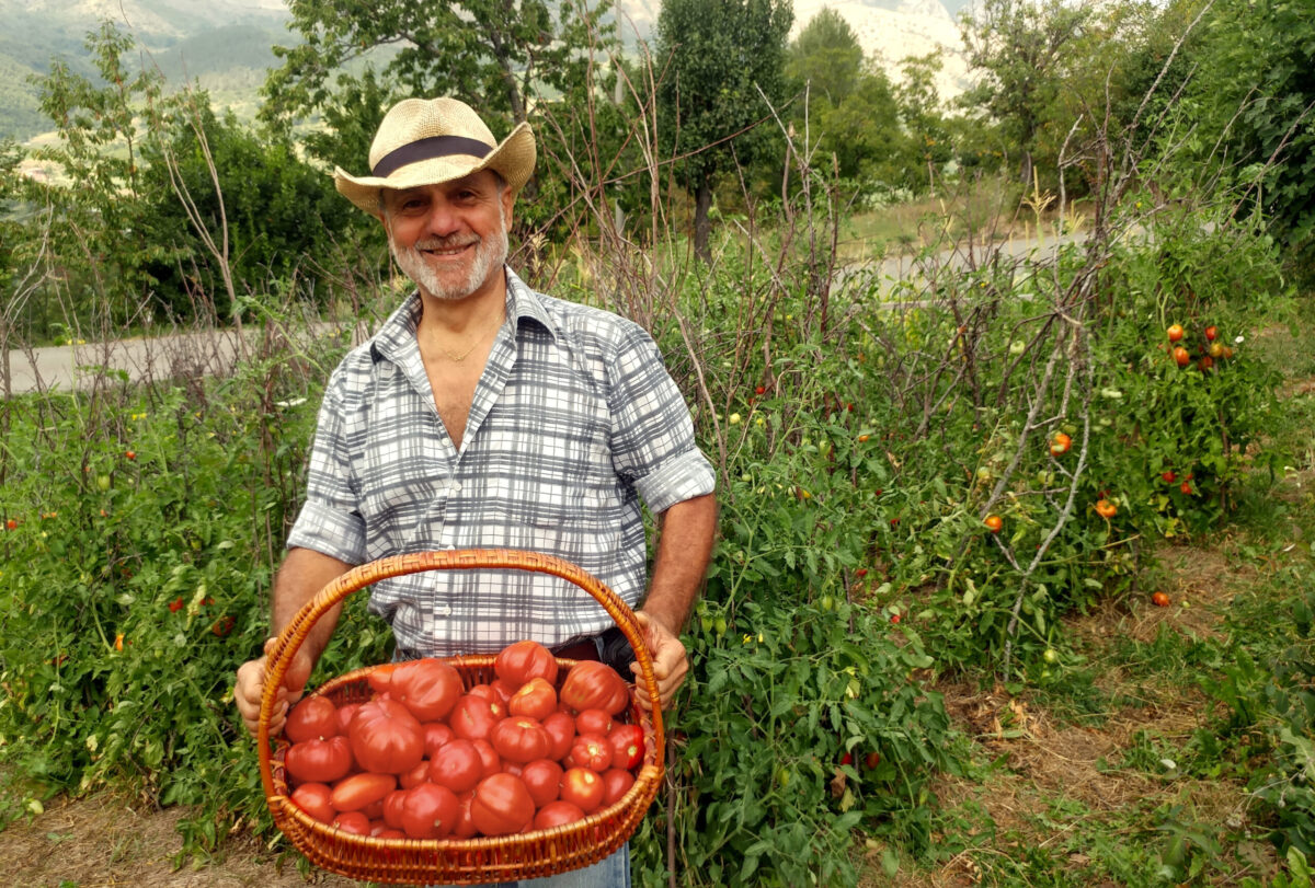 domanda-Solanacee-Gian-Carlo-Cappello-1