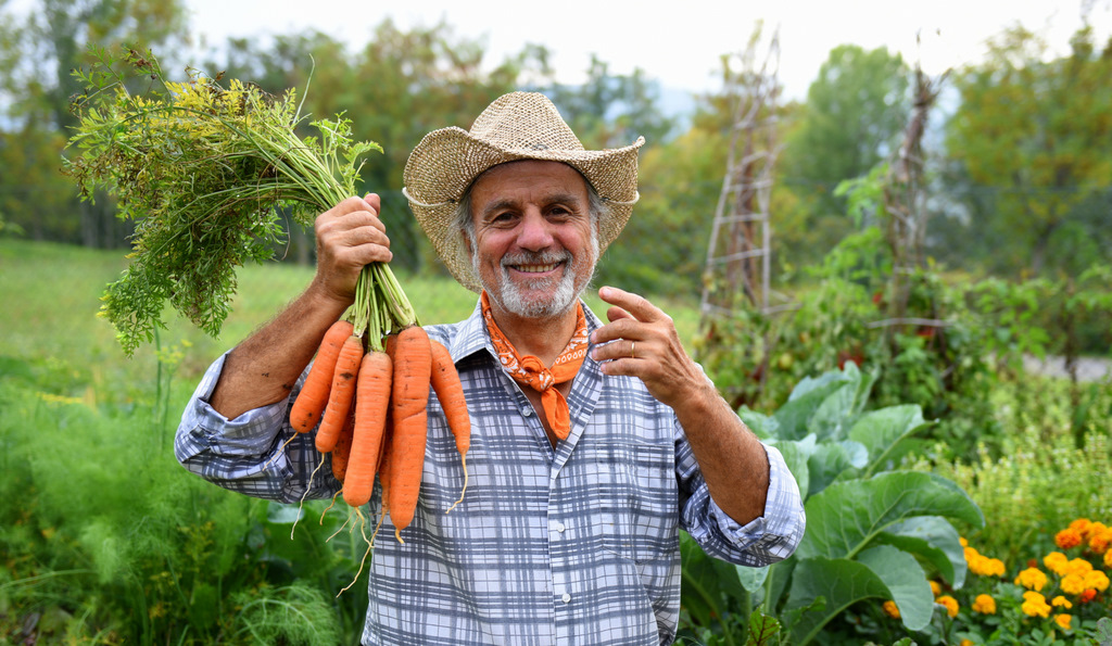 Gian Carlo Cappello - Coltivazione Elementare