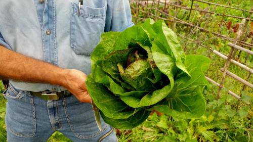 40 Gian Carlo Cappello 05 copia-min