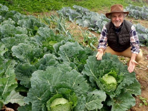 Gian Carlo Cappello 01