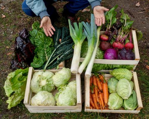 Gian Carlo Cappello 07