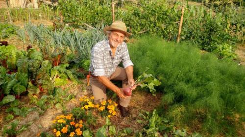 agronomia-Gian-Carlo-Cappello-2