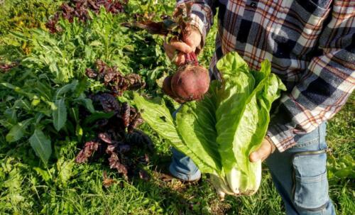 78-Gian-Carlo-Cappello-min